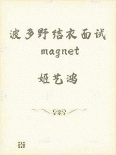 波多野结衣面试 magnet